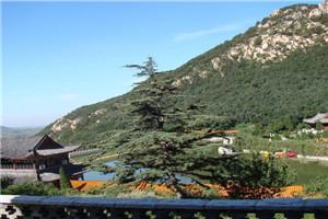 乱世灾年：我打造世外桃源