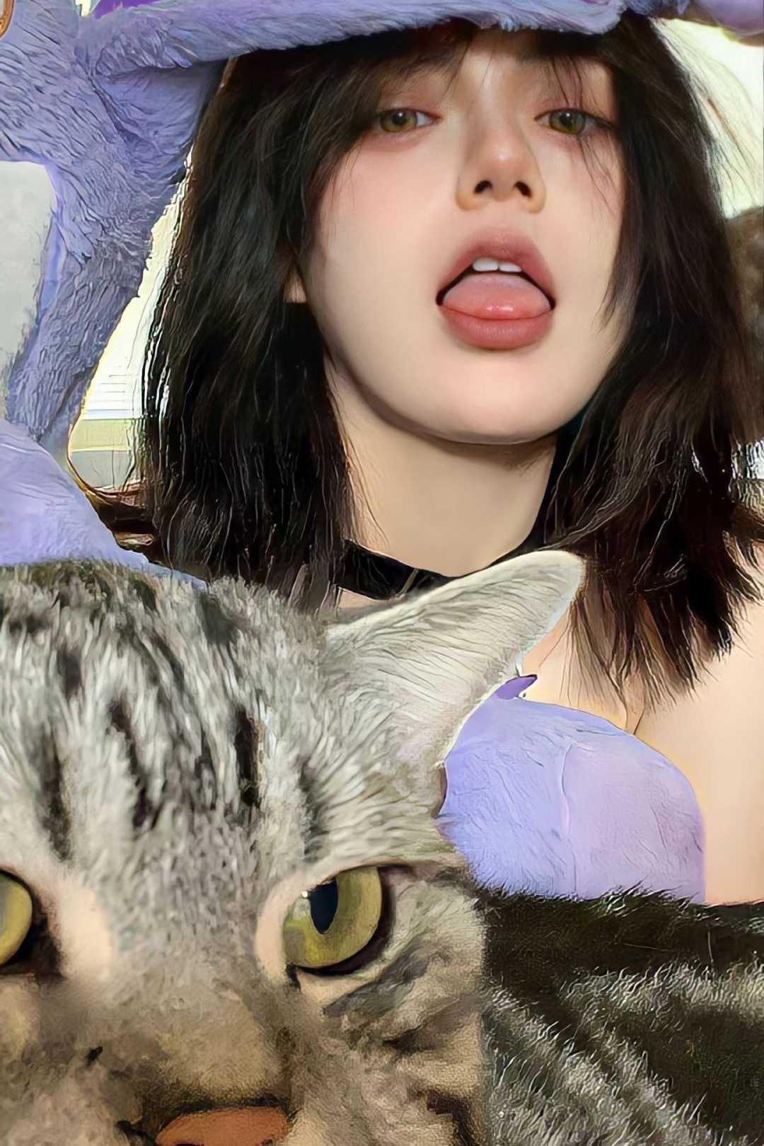 江初絮陆迟小说