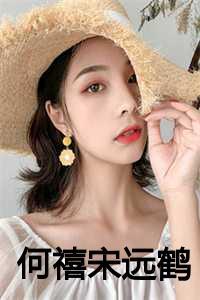 何禧宋远鹤