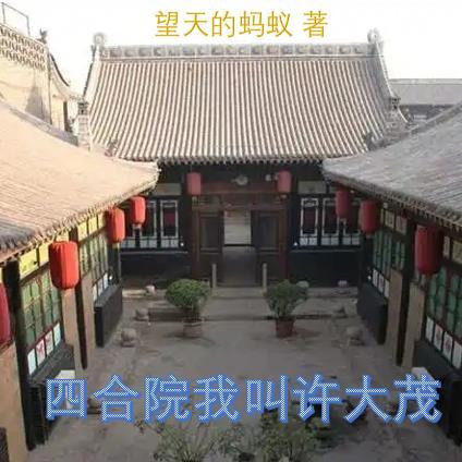 四合院我叫许大茂