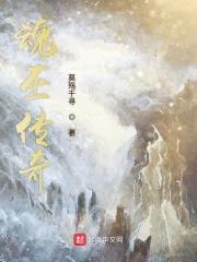 洪荒大陆之魂巫传奇